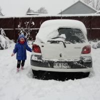 Poppy tries to wipe snow off our car