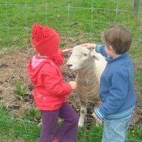 Feeding the ram