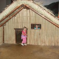 Maori Whare