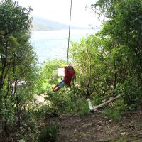 Swing