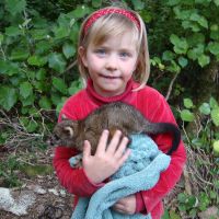Poppy with Shanni\'s baby possum