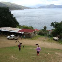 Overlooking the farmhouse