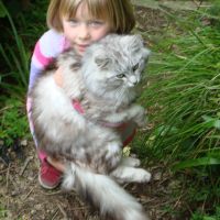 Poppy & Jynx