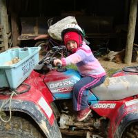 Poppy on the bike