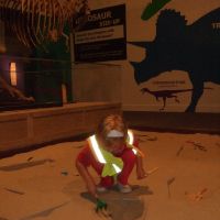 Dinosaur dig Dinosaur dig