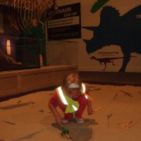 Dinosaur dig