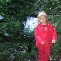 McLean Falls McLean Falls