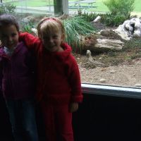 Southland Museum Tuatara Southland Museum Tuatara