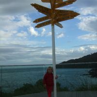 Poppy at the tip of the South Island Poppy at the tip of the South Island