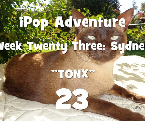 Week Twenty Three: Tonx!